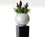 Oslo ultra-lightweight interior fibreglass bowl planters