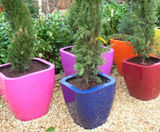 Quadik Spirit Planters - decorative fibreglass plant pots - on this page