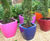 Quadik Spirit Planters - decorative fibreglass plant pots 0
