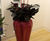 Squeeze Avant-Garde - fiberglass retro indoor planter 8
