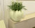 Squeeze Avant-Garde - fiberglass retro indoor planter 9