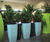 Spirit - Trifik ultra-lightweight interior planters 4