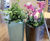 Spirit - Trifik ultra-lightweight interior planters 7