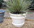 Garden Classics - Tuscany ultra-lightweight GRP outdoor planters 4