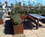 Bespoke corten steel effect planters - BBC roof terrace 2