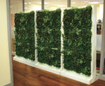 FreeWall - green wall room divider