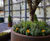 Terraces 1 - modular curved planter and seating system 6