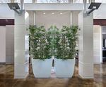 Linik Tall Spirit Planters - modern tapered planter