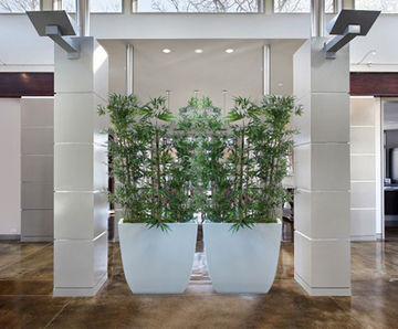 Linik Tall Spirit Planters - modern tapered planter