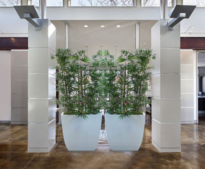 Linik Tall Spirit Planters - modern tapered planter