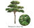 Bespoke Artificial Trees - realistic faux trees 8