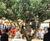 Bespoke Artificial Trees - realistic faux trees 5