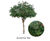 Bespoke Artificial Trees - realistic faux trees 10