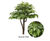 Bespoke Artificial Trees - realistic faux trees 11