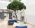 Bespoke Artificial Trees - realistic faux trees 4