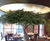 Lifesize bespoke artificial olive tree for restaurant 1