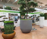 New planter range for streets, roof gardens and atria - on this page