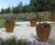 Corten steel effect lightweight GRP planters 1