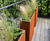 Corten steel effect lightweight GRP planters 3