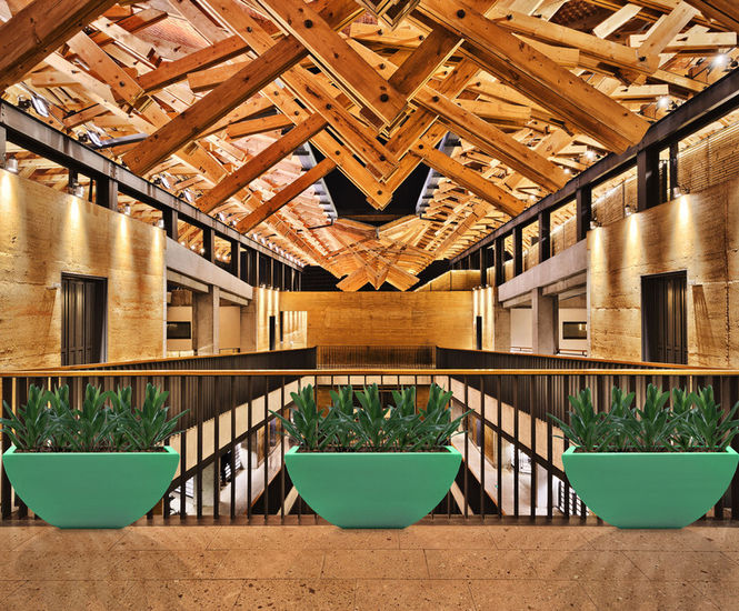 Avant-Garde - Dhow contemporary interior planters