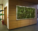 Bespoke Green Walls - artificial plant wall panels for interior or exterior