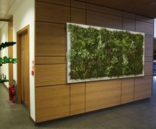 Bespoke Green Walls - artificial plant wall panels for interior or exterior