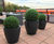 Artificial Plants & Trees - realistic faux plants for interior landscaping 4