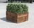 Artificial Plants & Trees - realistic faux plants for interior landscaping 3