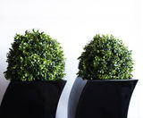 Artificial Plants & Trees - realistic faux plants for interior landscaping - on this page