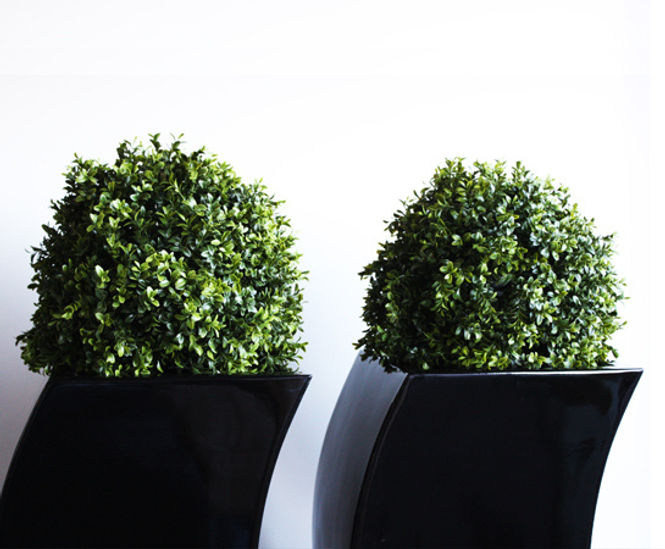 Artificial Plants & Trees - realistic faux plants for interior landscaping