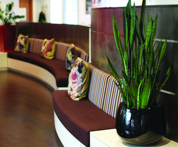 Barcelona ultra-lightweight interior bowl planter