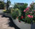 Curved planters and seating for Parisian roof garden 1