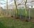 Greenscreen LITE - noise barrier for private gardens 7