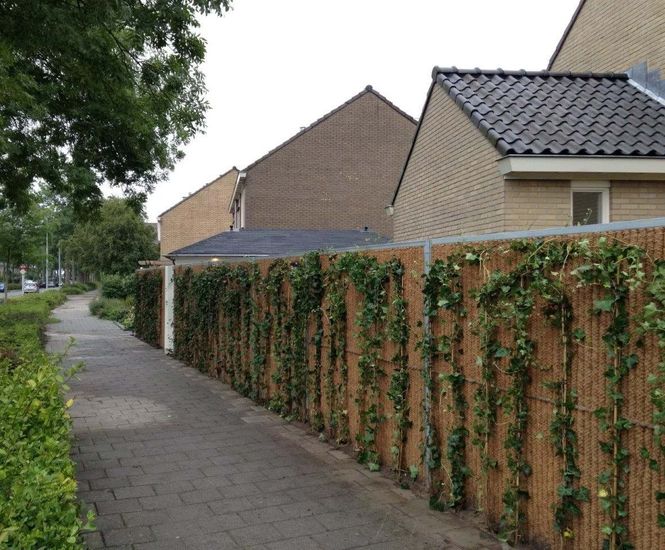 Greenscreen LITE - noise barrier for private gardens