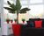 Cirkik Spirit Planters - modern fiberglass indoor plant pots 2