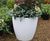 Cirkik Spirit Planters - modern fibreglass desktop and tree planters 5