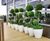 Cirkik Spirit Planters - modern fibreglass desktop and tree planters 7