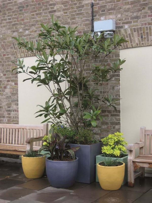 Images for Spirit Cirkik ultralightweight outdoor planters