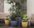 Cirkik Spirit Planters - modern fibreglass desktop and tree planters 1