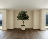 Quadik Spirit Planters - fiberglass planters - on this page