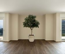 Quadik Spirit Planters - fiberglass planters