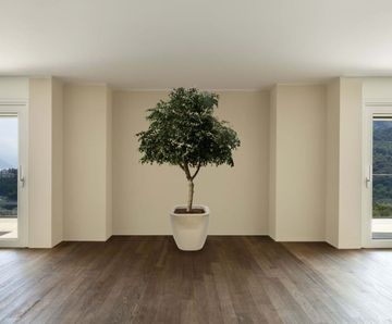 Quadik Spirit Planters - fiberglass planters