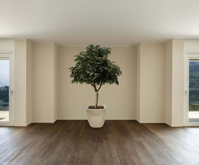 Quadik Spirit Planters - fiberglass planters