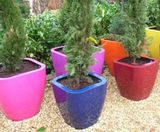 Quadik Spirit Planters - fibreglass planters with round corners - on this page