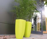 Quadik Plus Spirit Planters - tapered square planters with curved edges - on this page