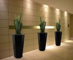 Hexik Spirit Planters - hexagonal tapered planters