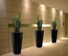 Hexik Spirit Planters - hexagonal tapered planters