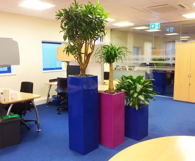 Spirit - Towik ultra-lightweight fibreglass interior planters