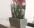 Spirit Linik Planter - lightweight fiberglass trough planter 5