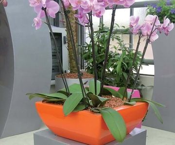 Linik Bowl Spirit Planter - lightweight fibreglass bowl planter